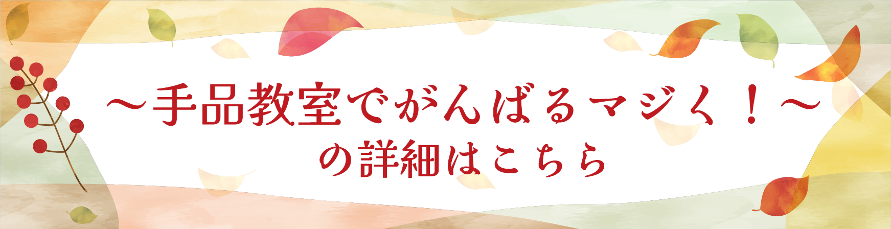 手品教室詳細.png